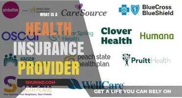 Understanding Health Insurance Providers: Your Guide to Choosing the Right One