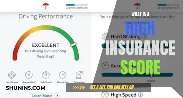 Understanding Your Insurance Score: A Guide to Better Coverage