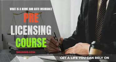 Pre-Licensing Courses: Your Home and Auto Insurance Primer