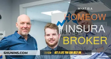 Homeowners Insurance Brokers: Your Ultimate Guide to Home Protection