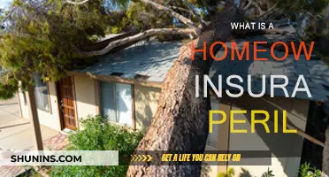 Understanding Home Insurance: Covered Perils and Beyond