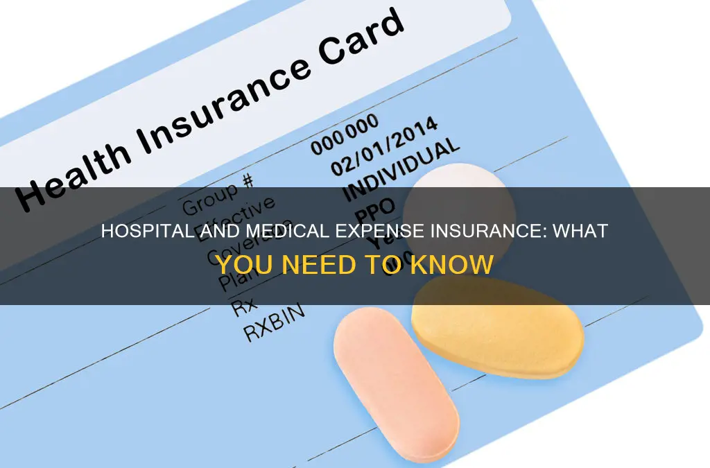 what is a hospital and medical expense insurance program