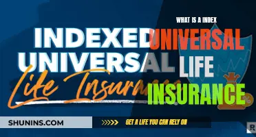 Universal Life Insurance: Index-Linked Benefits and Features