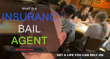 Understanding Insurance Bail Agents: Their Role and Responsibilities