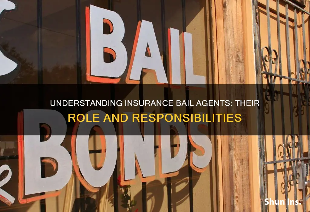 what is a insurance bail agent