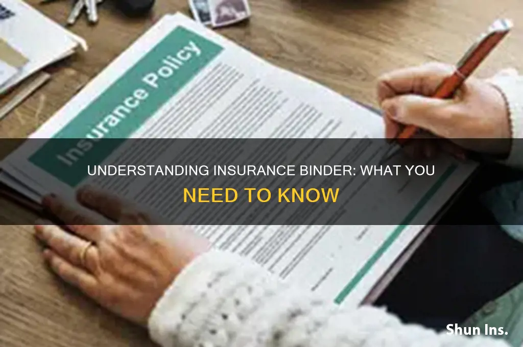 what is a insurance binder
