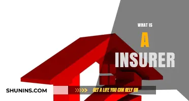 Understanding Insurance: Who Are Insurers?