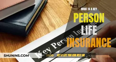 Key Person Life Insurance: Protecting Your Business's Future