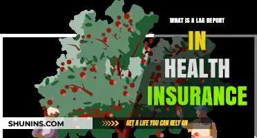 Understanding Lag Reports in Health Insurance: Purpose, Process, and Importance