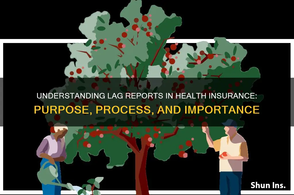 what is a lag report in health insurance