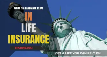 Life Insurance: Landmark Exam Explained