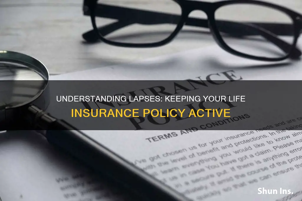 what is a lapse in life insurance