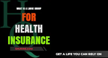 Understanding Large Group Health Insurance: Benefits, Eligibility, and Coverage Explained