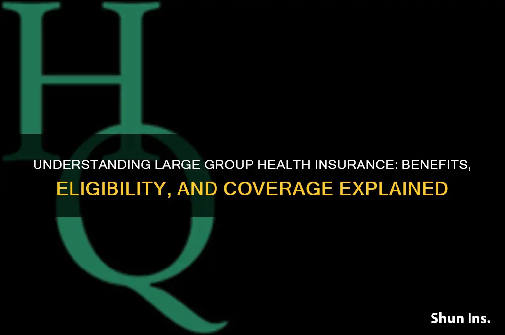 what is a large group for health insurance