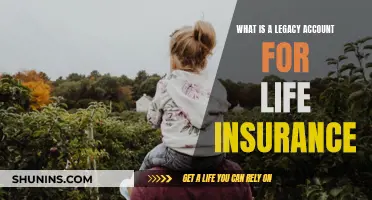 Legacy Accounts: Life Insurance's Future-Proof Offering