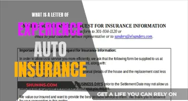 Understanding Auto Insurance: Letter of Experience Explained