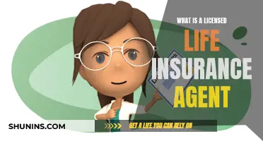 Life Insurance Agent: Licensing and Career Guide