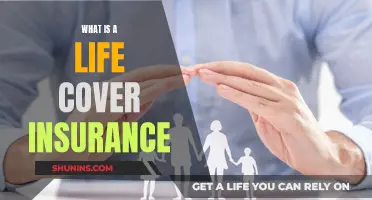 Life Cover Insurance: What You Need to Know