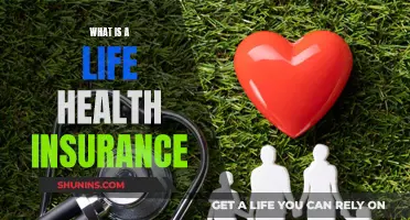 Life and Health Insurance: What You Need to Know