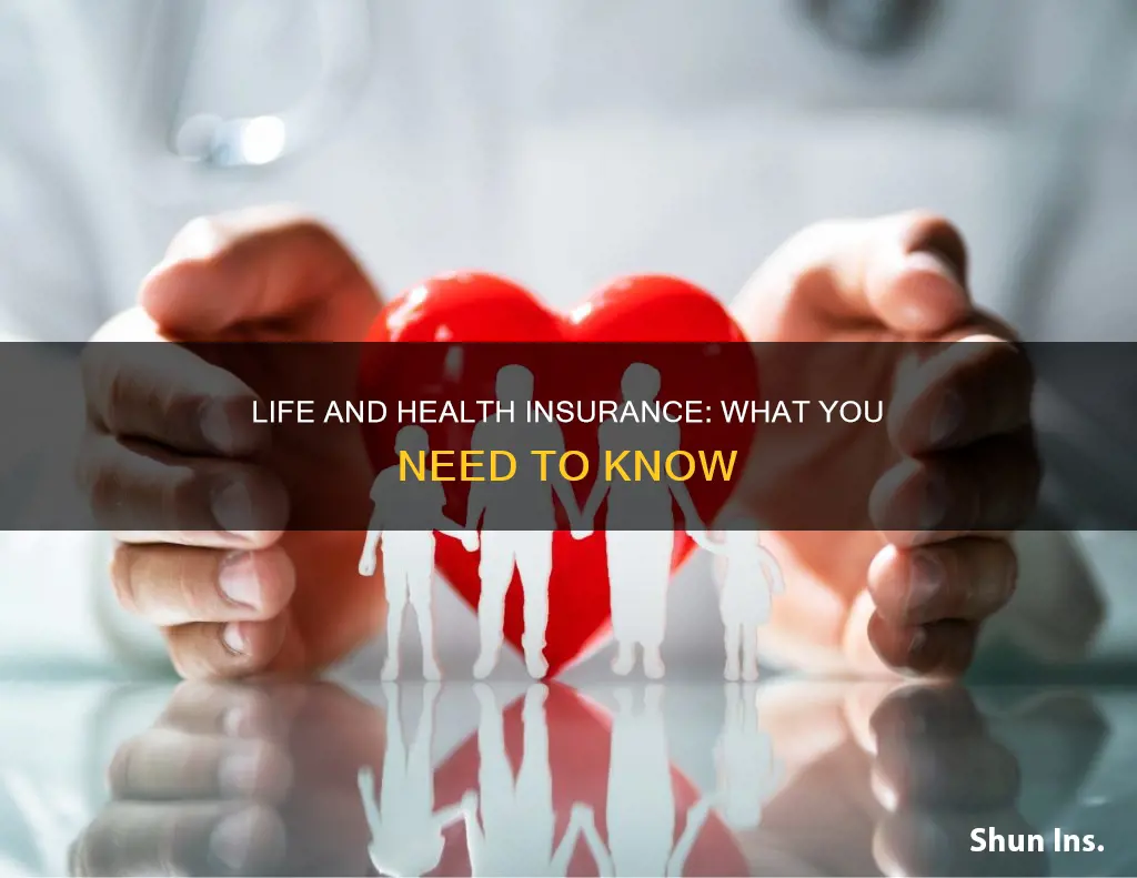 what is a life health insurance