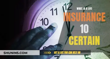 Life Insurance 10 Certain: A Decade of Financial Security