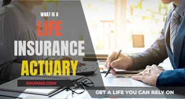 Actuaries: The Math Whizzes of Life Insurance