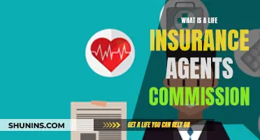 How Life Insurance Agents Earn Their Commissions