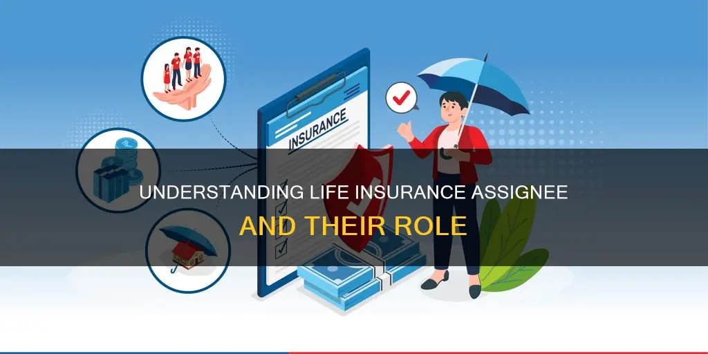 what is a life insurance assignee