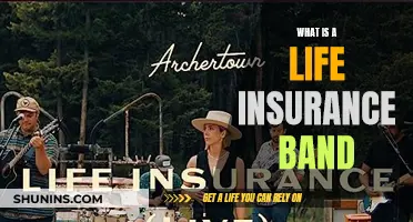 Life Insurance Bands: Understanding Their Role and Importance