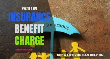 Understanding Life Insurance: Benefit Charge Explained