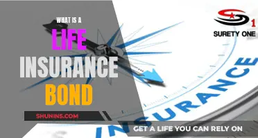 Life Insurance Bond: What You Need to Know