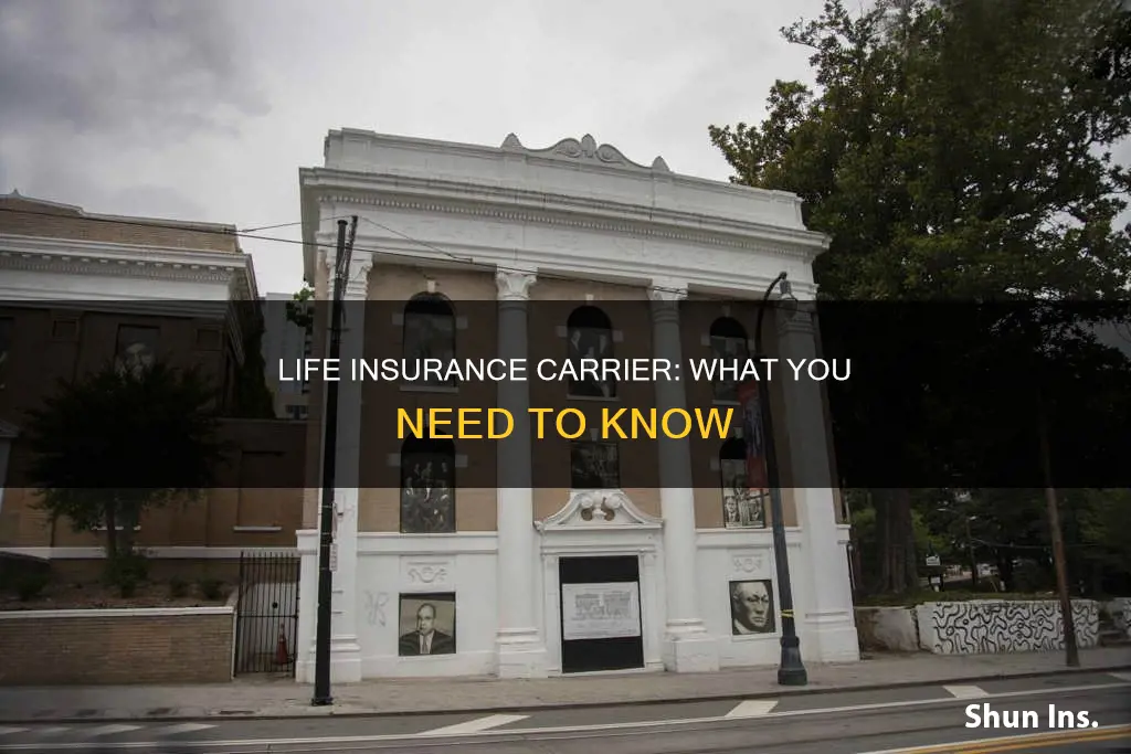 what is a life insurance carrier