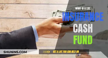 Life Insurance Cash Fund: A Smart Financial Move?