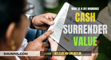 Understanding Life Insurance: Cash Surrender Value Explained