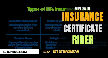 Life Insurance Certificate Rider: What You Need to Know