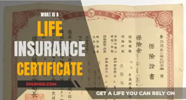 Life Insurance Certificate: Understanding Your Policy Proof