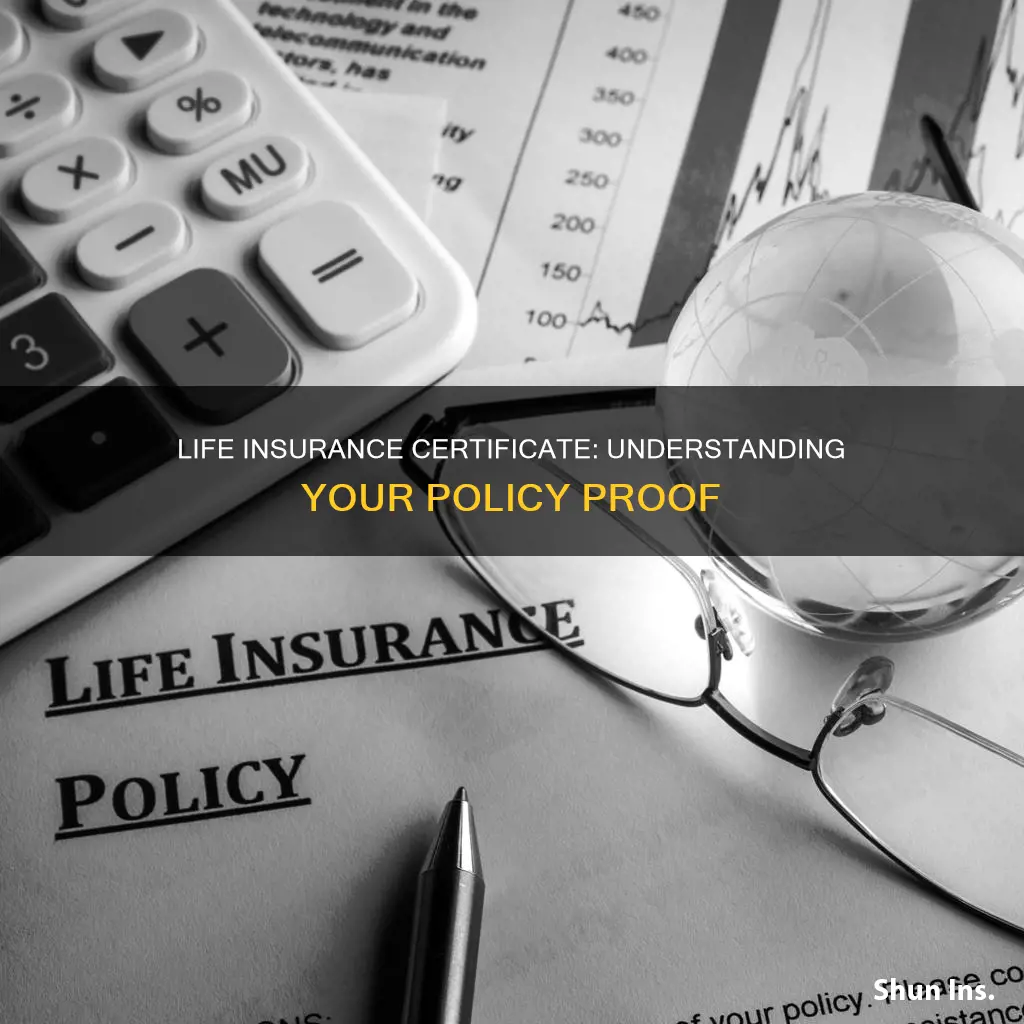 what is a life insurance certificate