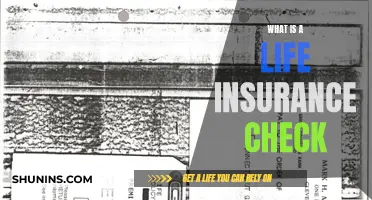 Life Insurance Check: What You Need to Know