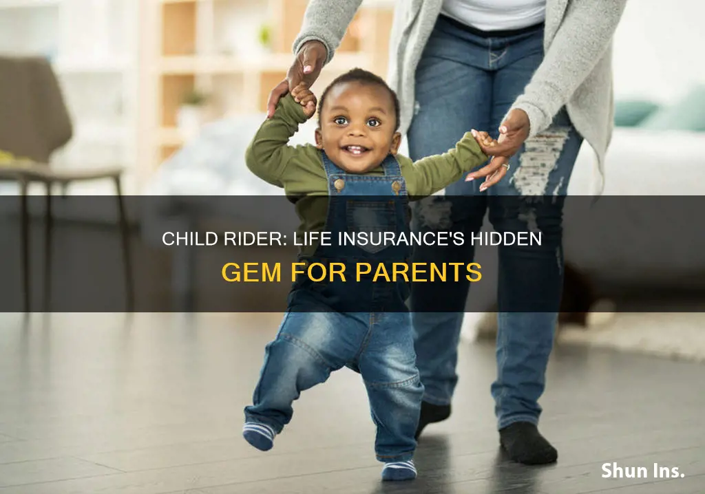 what is a life insurance child rider