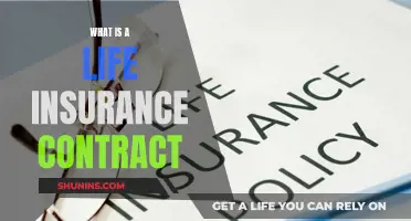 Life Insurance Contracts: Understanding the Basics