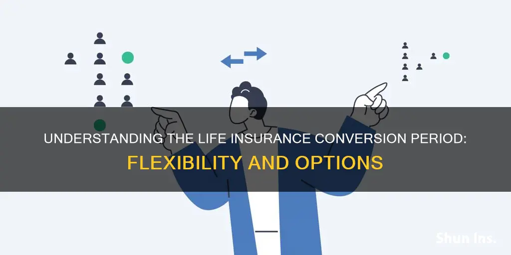 what is a life insurance conversion period