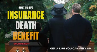 Understanding Life Insurance: Death Benefits Explained