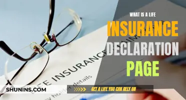 Understanding Your Life Insurance Declaration Page