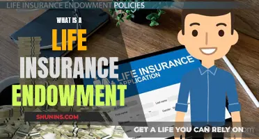 Endowment Life Insurance: What You Need to Know