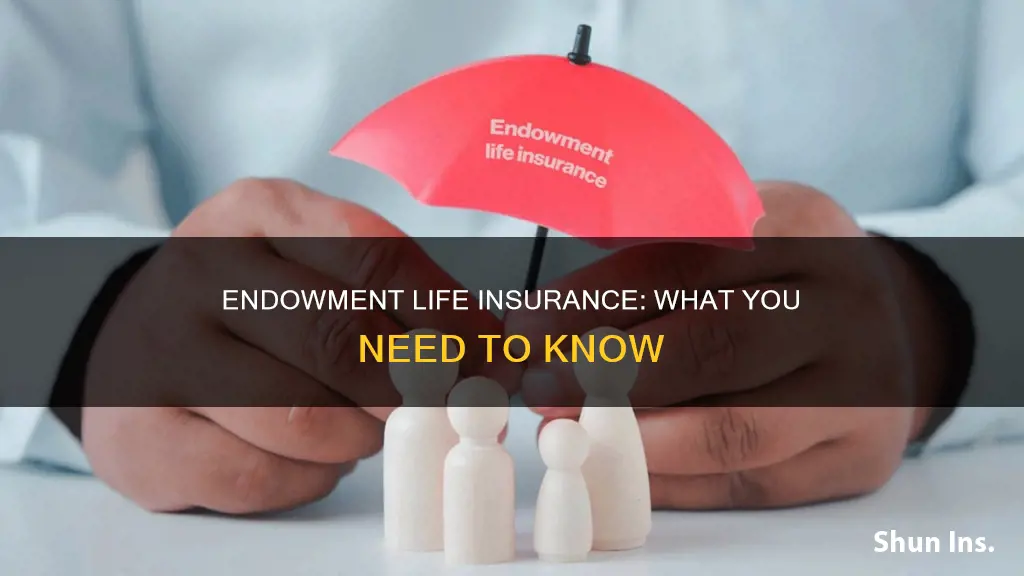 what is a life insurance endowment