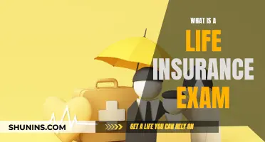 Life Insurance Exam: What You Need to Know