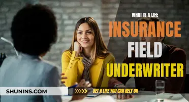 Life Insurance Field Underwriters: Their Role and Importance