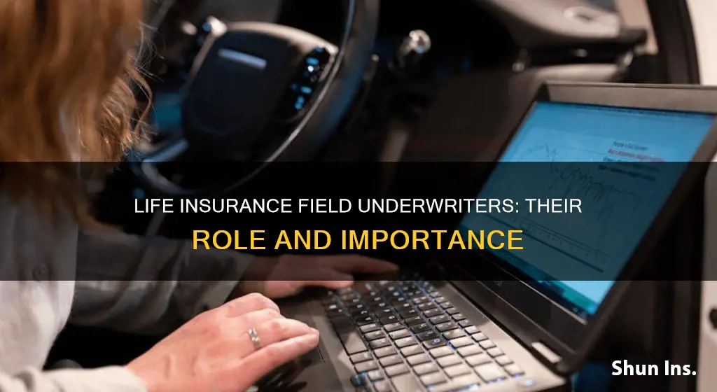 what is a life insurance field underwriter