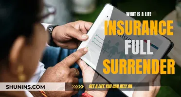 Life Insurance Policy Surrender: What You Need to Know