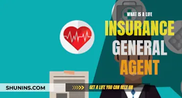 Life Insurance General Agents: Their Role and Importance